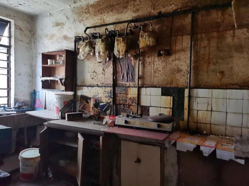 长宁首个房屋协议置换基地100%签约，居民“换”出幸福感
